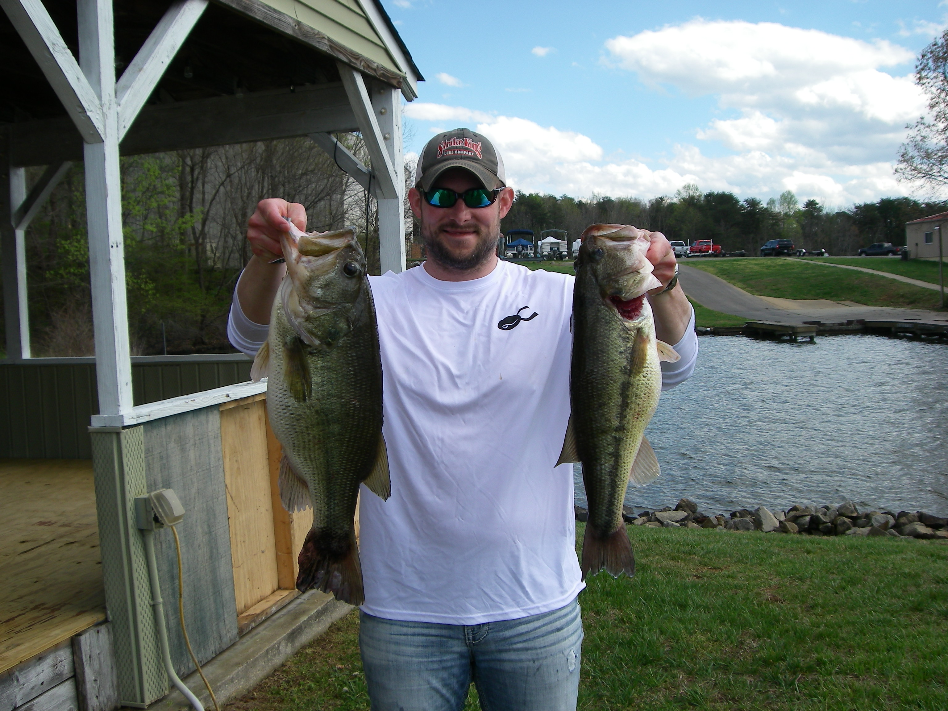 2016ANNASHANEFISH1.JPG